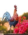 Tiejiajiang Metal Rooster Statue - Outdoor Garden Porch Patio Farm Backyard Decor - 21 Inch Metal Home Furnishing Artwork - Unique Gifts for Mom Women