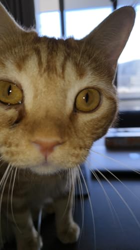 infinity (OMI clone and saikaku) (Japanese Edition)