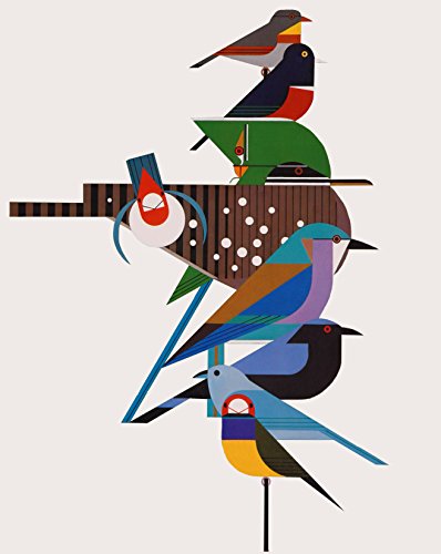 Image of Charley Harper Rainforest Birds Lithograph