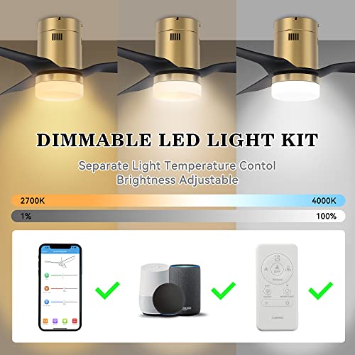 Smaair 52 Inch Smart Ceiling Fan With Lights And 10-Speed Dc Motor, Works With Remote Control/Alexa/Google Home/Siri, Dimmable Led Light (Gold/Black) #TOP2