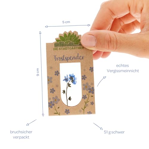 Die Stadtgärtner Trostspender I Vergissmeinnicht im Glas als Trost-Geschenk in schweren Zeiten I Abschiedsgeschenk für Freunde, Lehrerin & Geschenk zur Aufmunterung I Handgemacht in Deutschland