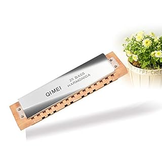 JINSUO GWTRY 25 Trous Basse Harmonica ARMONICA Une Bocca WoodenCore Instrument de Musique Bouche Ogan Chine célèbre… - Les Beatles, Paul McCartney, John Lennon, RIngo Starr, George Harrison JINSUO GWTRY 25 Trous Basse Harmonica ARMONICA Une Bocca WoodenCore Instrument de Musique Bouche Ogan Chine célèbre… – Image 3