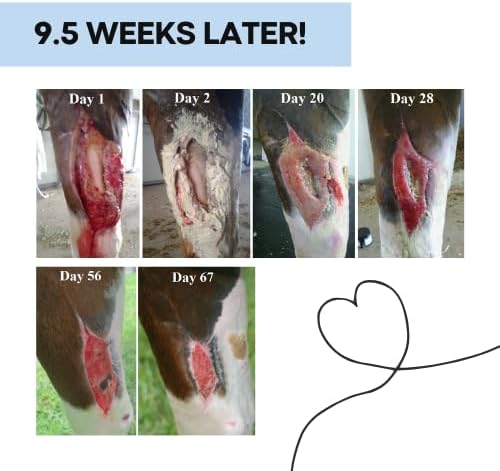 Corazón Therapeutics Equine Wound Care Kit, 3-Part Treatment System with Salve, Spray and Oral Solution