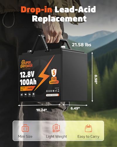 12V 100Ah LiFePO4 Group 24 Battery