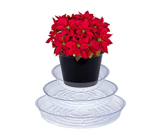 Curtis Wagner Plastics Corp The Best Amazon Price In Savemoney Es