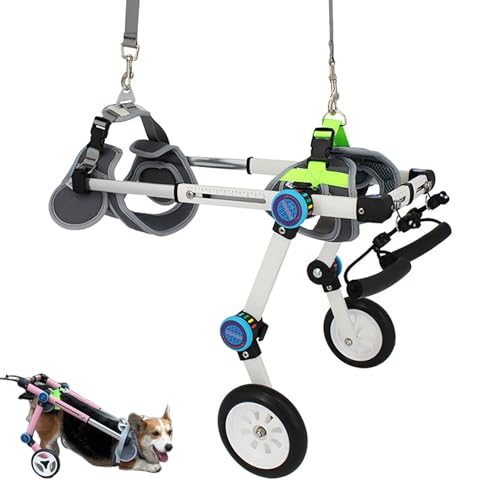 Silla de ruedas para perros con arnés regulable y soporte estable