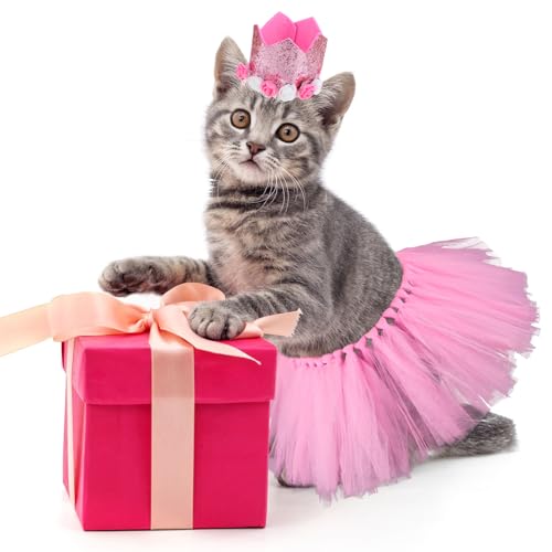 Halloween Hundekostüm Hunde Tütü Haustier Geburtstag Outfits Princessin Katze Kostüm und Mütze Tüll Rock für Kleine Haustiere Geburtstags Haustiere