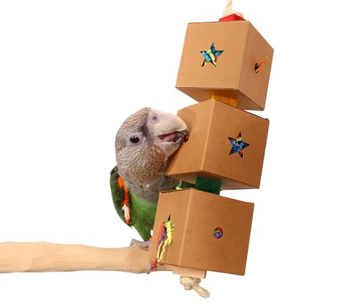 Little Delivery - Medium Parrot Cardboard Boxes Foraging Toy - image 4