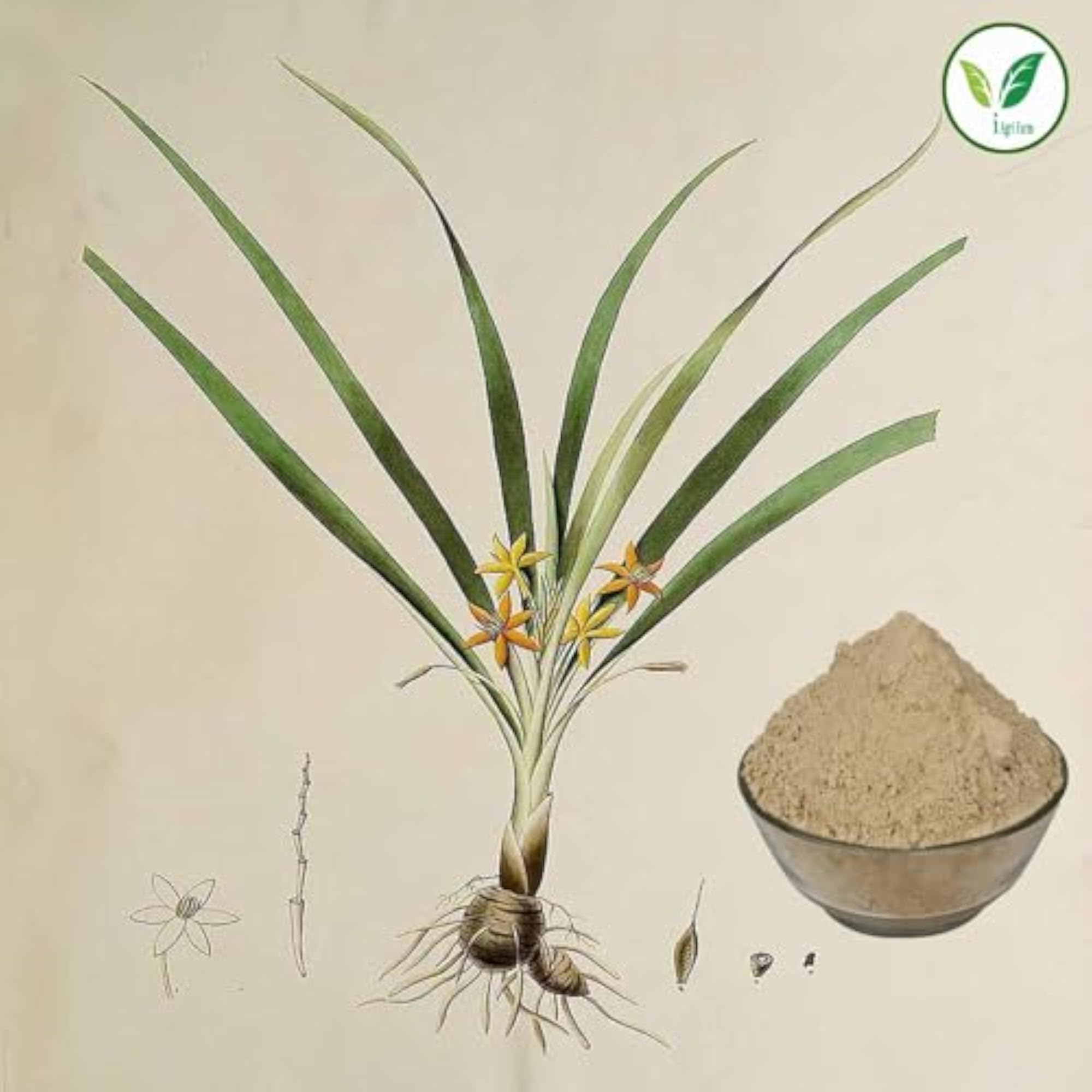 Iagrifarm Musli Root Powder, 250 g