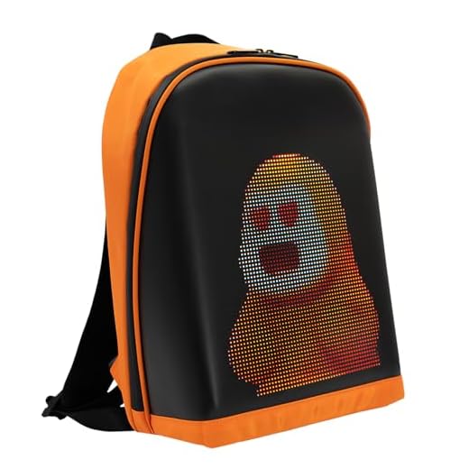 Customizable LED Backpack with USB Port