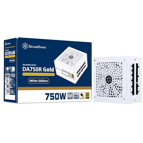 Technology DA750R Gold, 80 Plus Gold - Alimentatore ATX completamente modulare, 750 W, ATX 3,0 & PCIe 5,0, SST-DA750R-GMA-WWW - Alimentatore - Immagine 11