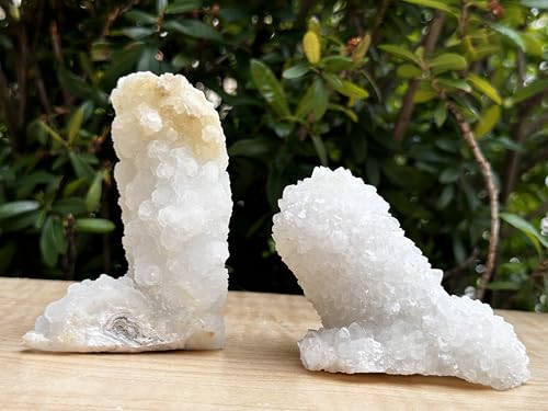 Image of GAF TREASURES Chalcedony & Crystal Quartz Stalactite 3-8 inch, Natural Quartz on Chalcedony Stalactite Specimen (0.5-0.75 lb)