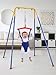 Rodiuiu Baby Jumper with Stand, Toddler Swing Set forIndoor/Outdoor Play, Jumper for Baby 6-24 Months,Baby Jumpers and Bouncers with Adjustable Chain,Easy to Assemble & Store A