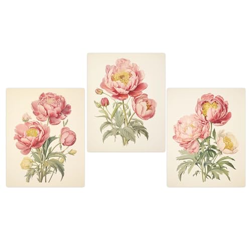 Illustration florale rose sur toile de qualité, affiche vintage pivoines AEFOUU