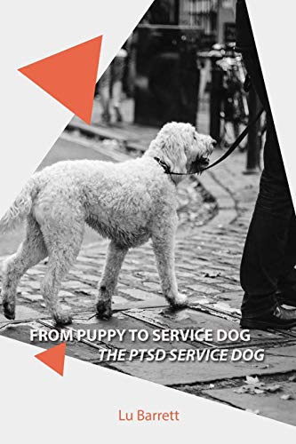 From Puppy to Service Dog: The Ptsd Service Dog