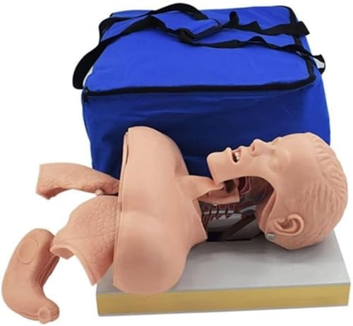 Manichino Per L'Addestramento Alla Gestione Delle Vie Aeree, Modello Di Simulatore Per L'Addestramento Alla Tensione Endotracheale, Manichino, Manichino Per L'Insegnamento E L'Apprendimento Della Tes