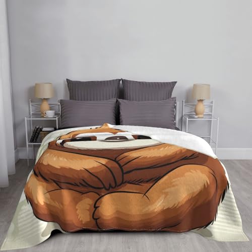 Couverture canapé paresseux en microfibre douce légère toutes saisons - 6