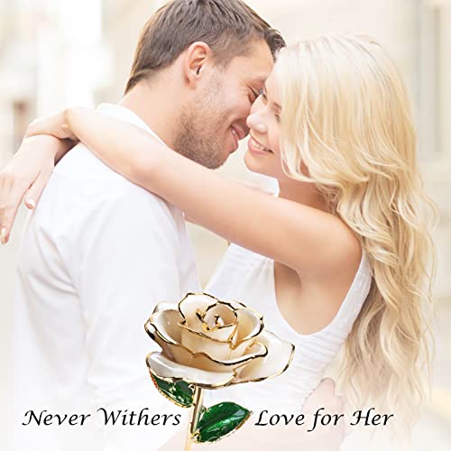 Sinvitron Gold Dipped Infinity Rose Forever Flower Decor, Resin Preserved Real Rose Birthday Gift for Women, Anniversary Present for Mom (Ivory White)