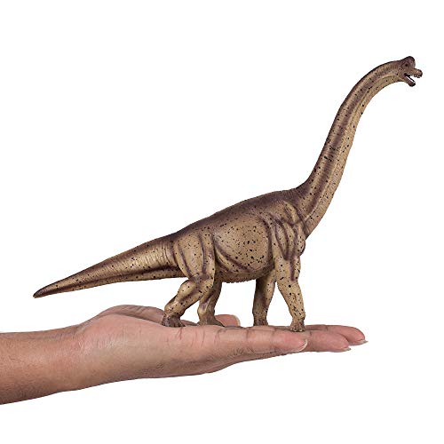 Brachiosaurio Marron MOJO décor de chambre dinosaure et vitrine - 6