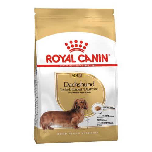 Royal Canin Dachshund Adult | 4er Pack | 4 x 500 g | Alleinfuttermittel für ausgewachsene Dackel ab dem 10. Monat