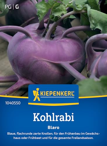 Kiepenkerl Kohlrabisamen Blaro 1040550 - Freilandsaison - Inhalt für 90 Pflanzen - Wuchshöhe 30-40 cm - Gemüsesamen, Samen Gemüse, Saatgut, Gemüsepflanzen Kiepenkerl Kohlrabisamen Blaro 1040550 - Freilandsaison - Inhalt für 90 Pflanzen - Wuchshöhe 30-40 cm - Gemüsesamen, Samen Gemüse, Saatgut, Gemüsepflanzen
