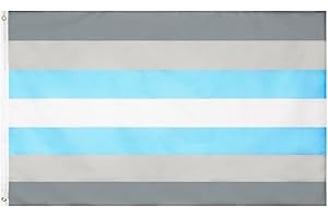 FLAGLINK Demiboy Pride Flag 3x5 Fts LGBTQIA Demi Man Gender Banner