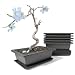 Produktbild maiple 6 Stück Bonsai Trainingsschalen, 23x17x8cm, rechteckige Bonsaitöpfe aus Kunststoff mit Untersetzer, Pflanzgefäß für Garten, Terrasse und Fensterbank