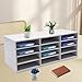 12 Compartments Literature Organizer, Countertop Mail Sorter Organizer, Office Classroom Mailbox, Bill Paper Organizer Cabinet for Home, Library, Craft Room (White)