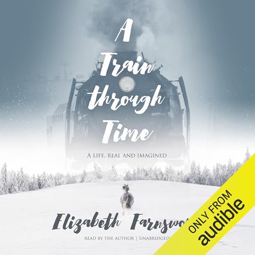 Page de couverture de A Train Through Time