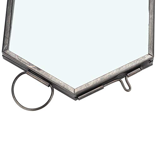 Hanging Geometric Hexagonal Glass Picture Photo Frame Dried Flower Plant Specimen Clip Display #TOP7