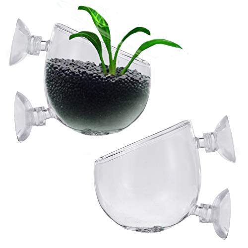 Oneroomone 2 pièces Pot de Tasse en Verre de d'Aquarium, Support de Plante d'Aquarium avec Ventouse, Tasse de Verre en Cristal de Plantes d'Aquarium, pour Aquascaping d'Aquarium d'Aquarium