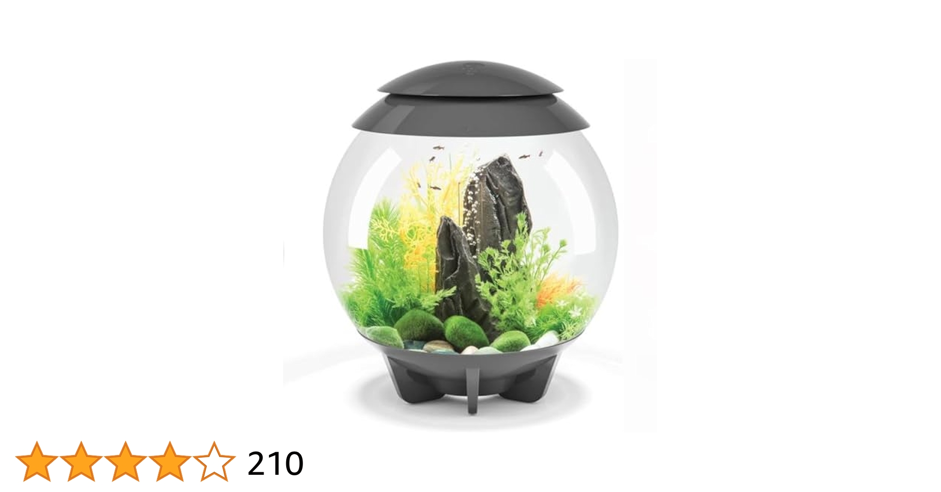 30L_水槽biorb HALO(バイオーブ ハロ) グレー アクアリウム球体 Amazon | biOrb 水槽 セット ハロ 30L (72041) 多機能