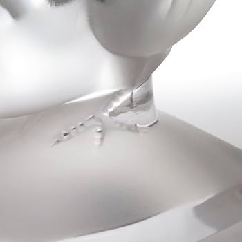 Amazon.co.jp: ラリック ブックエンド イロンデル ツバメ ブック