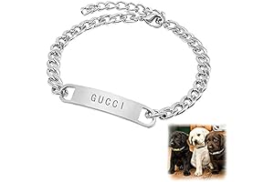 Z23Z Dog Collar: Emblazoned with Love and Security for Your Furry Companion