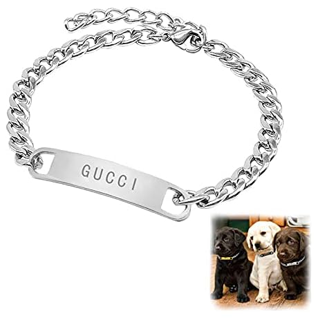 Z23Z Dog Collar: Emblazoned with Love and Security for Your Furry Companion