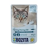 Bozita