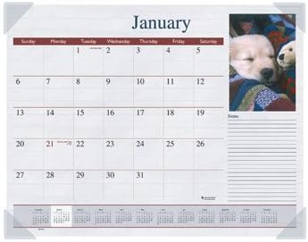 AT-A-GLANCE Visual Organizer Recycled Puppies Desk Pad, 22 x 17 Inches, 2013 (DMD166-32)