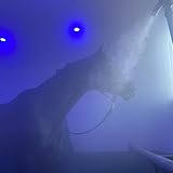 BOCHOLTER INHALATIONEN Mike Lütfrink