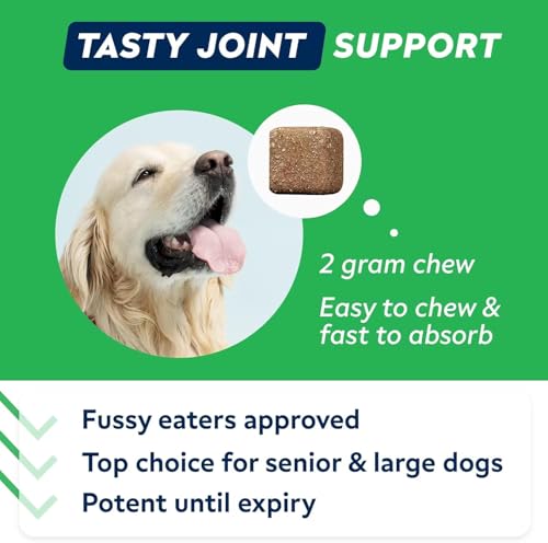 STRELLALAB Glucosamine Treats for Dogs - Joint Supplement w/Omega-3 Fish Oil - Chondroitin, MSM - Advanced Mobility Chews - Hip & Joint Care - 60 Count (Pack of 1) Bacon - Image 5