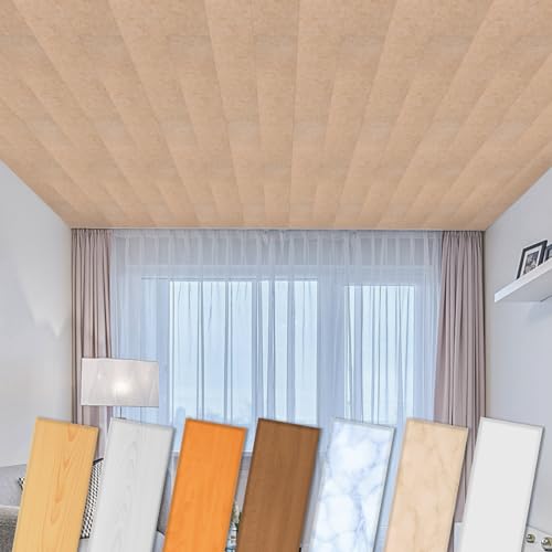 Paneles de techo HEXIM de XPS 100x16,7cm - Revestimiento de techo moderno de plástico de poliestireno (2 metros cuadrados P-11) panel de techo de pared