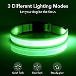 Vizpet LED Dog Collar, Light Up Dog Collar Adjustable USB Rechargeable Super Bright Safety Light Glowing Collars for Dogs(Medium,Green) - Image 4