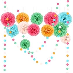 AOBKIAT Rainbow Birthday Decorations for Girls Women,15PCS Colorful Tissue Paper Pom Poms,Paper Garland String,for Candyland Theme Baby Shower Wedding Fiesta Party Hanging Backdrop