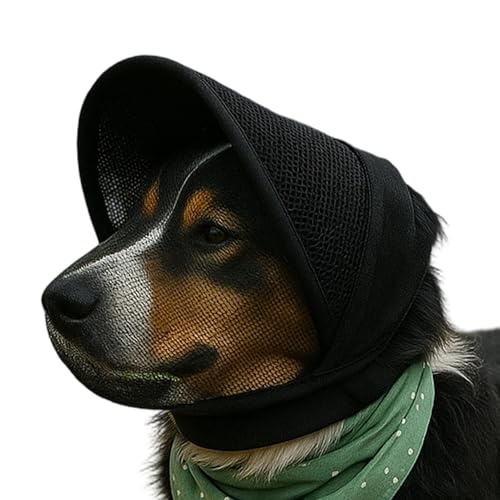 Scmmpt ybgpwbhJo[,yʂŒ\ȕی | ^pOیK[h | ^̎qp NC~O Lv nCLO g[jO AEghA tB[h EH[LO