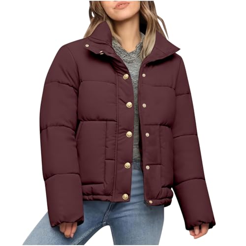 Abrigo de invierno para mujer, chaqueta corta acolchada de plumón con cuello alto, chaquetas de manga larga, abrigo corto casual con bolsillo para mujer, abrigo cálido acolchado de algodón suave