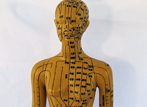 Human Female Acupuncture Anatomical Model with Acupuncture Points, Bronze Color, Height 18 Inch - Thumbnail 5