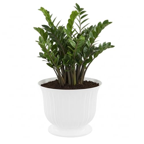 botle Vaso per fiori, rotondo, Ø 21 cm, bianco su piedi, vaso per fiori su piattaforma rialzata, per casa e giardino, vaso per tomba, composizioni di fiori artificiali e veri