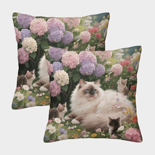 Funda De Cojín con Familia de Gatos Persas Juego De 2, Microfibra Suave Funda De Almohada con Cremallera Invisible, Fundas Cuadradas para Sofá Coche Cama Sillas, 40x40cm