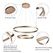 MADEM Modern LED Chandelier 2-Ring Circular Dimmable Pendant Light Contempoary Chanderlier Flush Mount Pendant Lighting for Living Room Dining Room, Bedroom,3000K-6000K, Gold, 60W