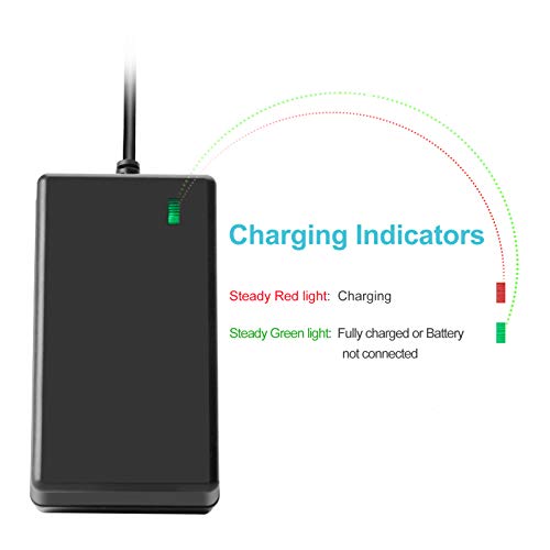 Lotive 2 Packs 8V 1500mAh Lithium-ion Battery Replace for Dewalt 8V Battery DCB080 and Fit for Dewalt DCB095 DCF680 DCF680G2 DCF680N1 DCF680N2 DCF682 DCL023 DW4390 with one charger