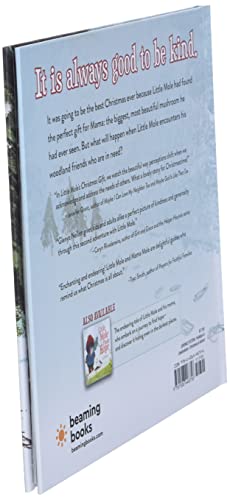 Little Mole\'s Christmas Gift